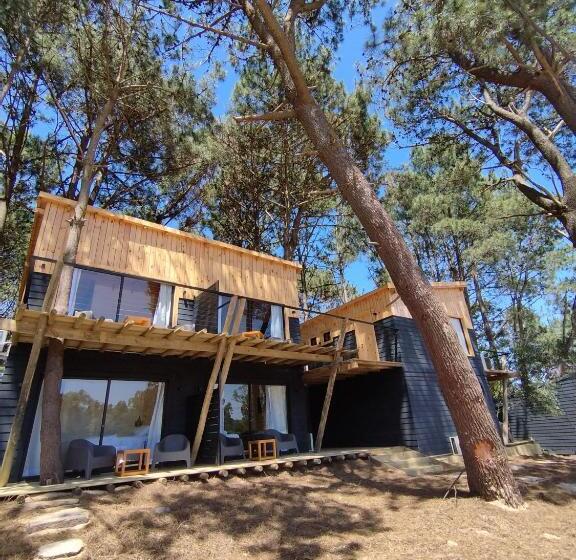 酒店 Bosque Las Delfinas