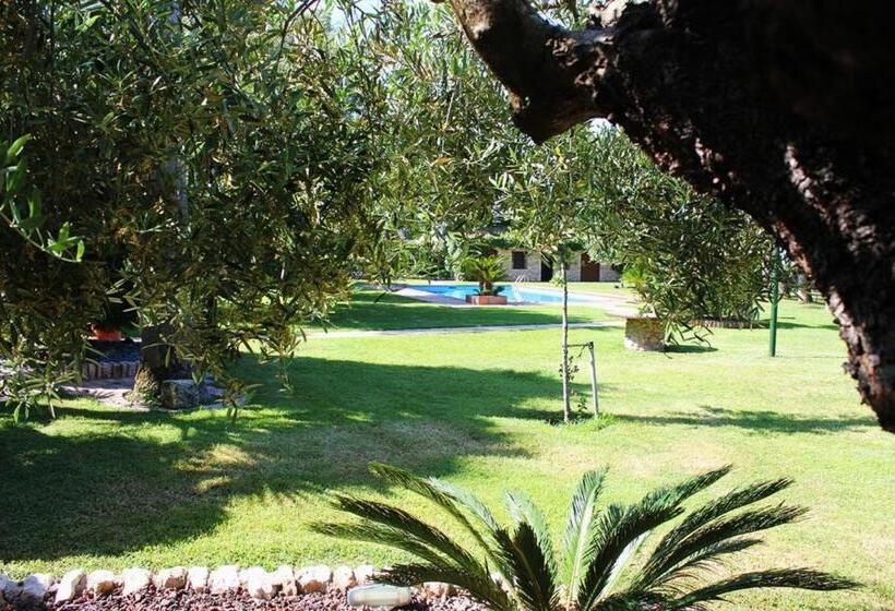 Отель Cal Marques