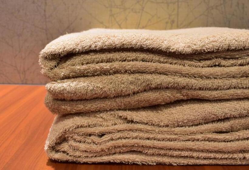 ホテル ドーミーインexpress豊橋