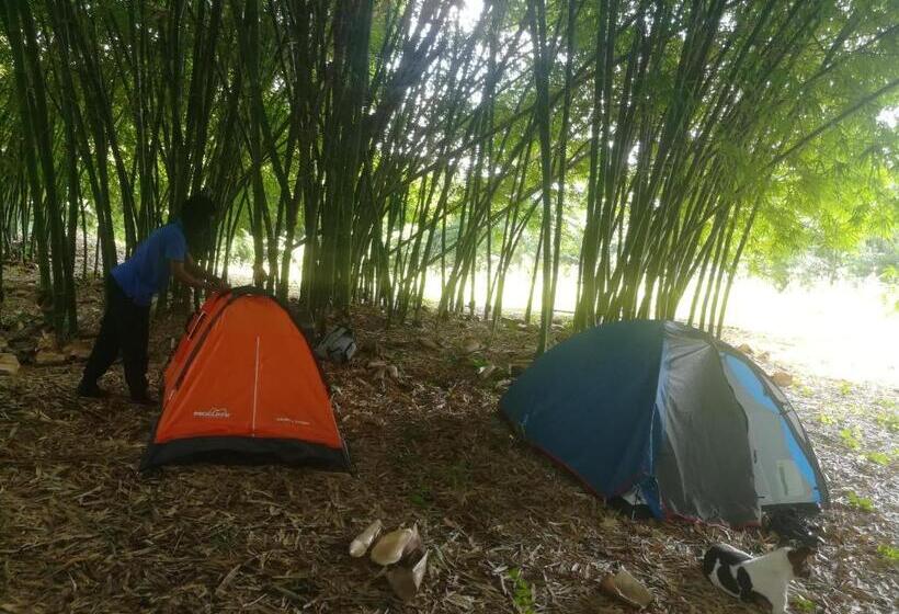 酒店 Ferme Yaka Yale