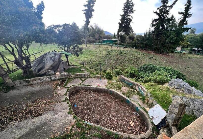 Отель Finca Villa Del Carmen