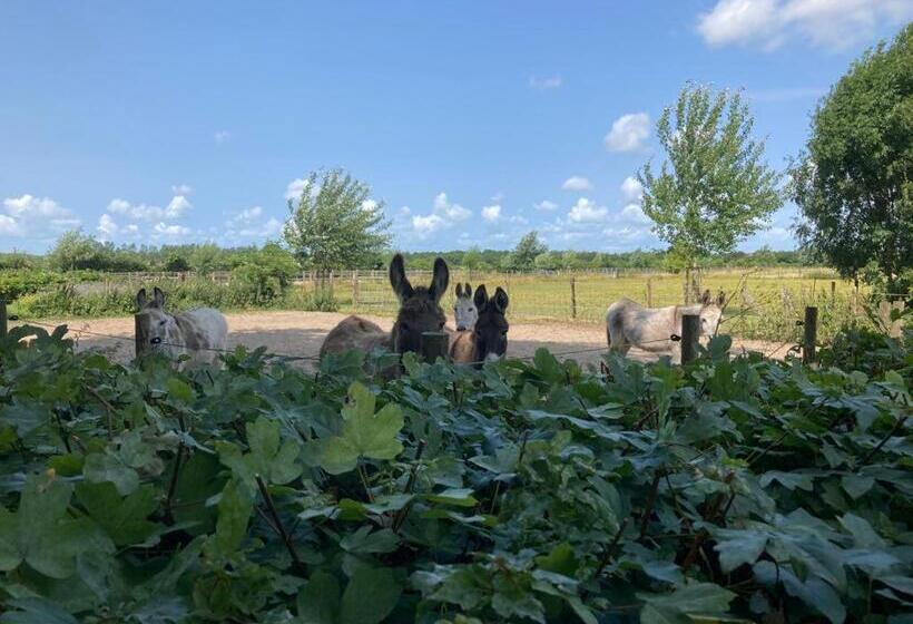 בית מלון כפרי Home Bij Zee