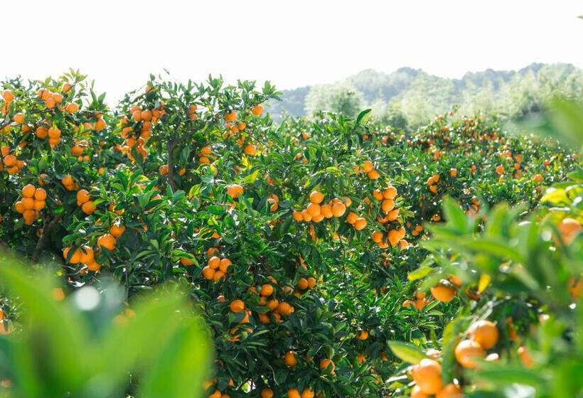 ホテル Minshuku Hirono