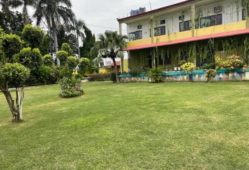 Отель Nasheman &