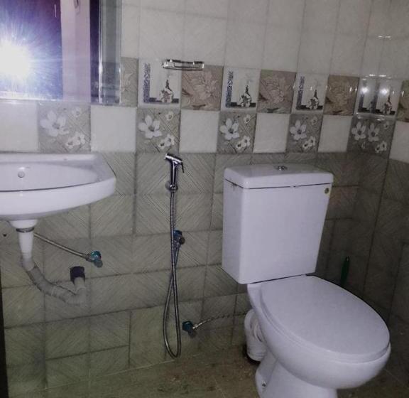 Отель New Oyo Borella