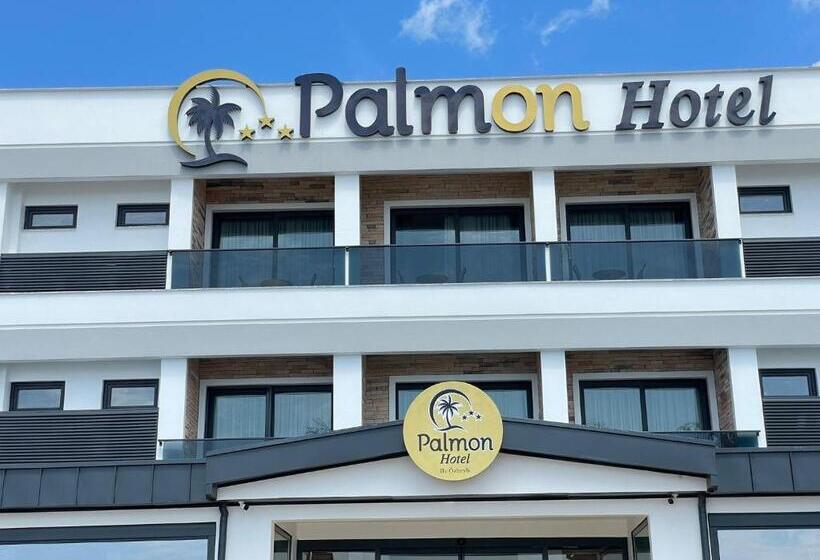 Отель Palmon