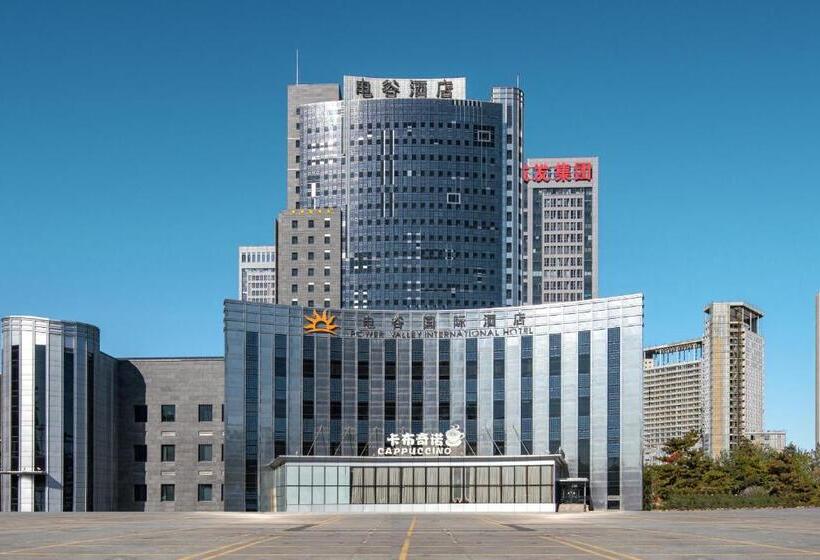 酒店 Power Valley International