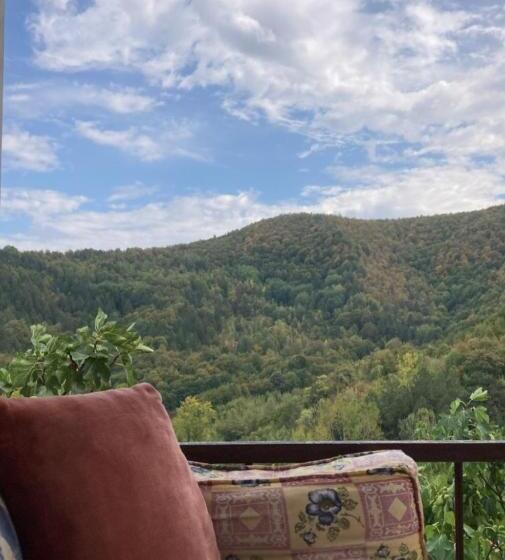 酒店 Splendour Food And Stay