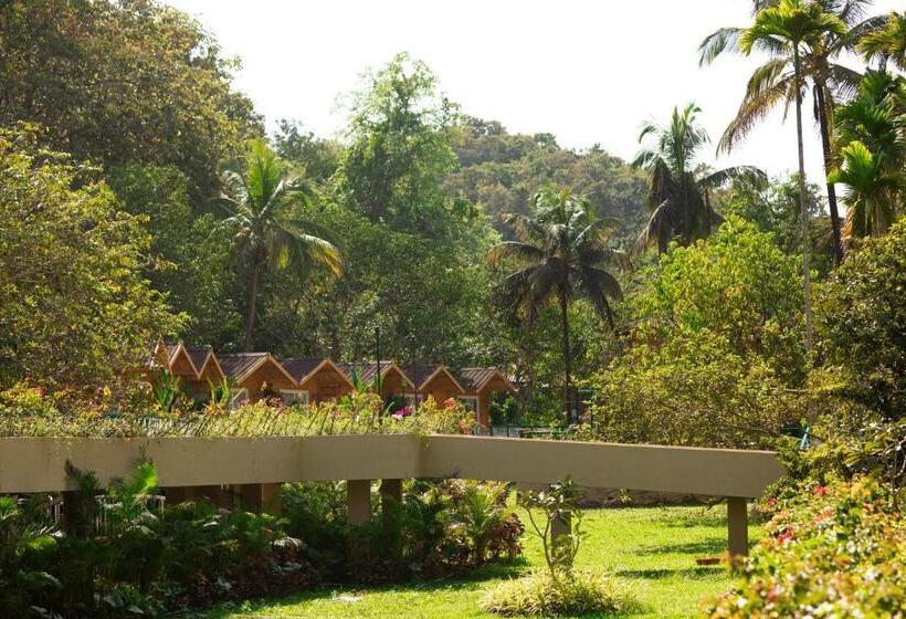 בית מלון כפרי Stone Wood Jungle Resort, Dandeli