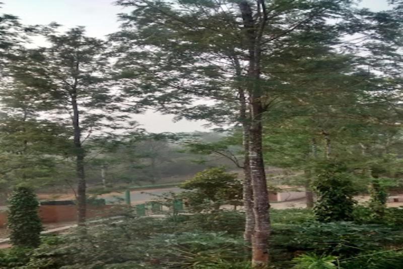 Nikhara Estate And Resort