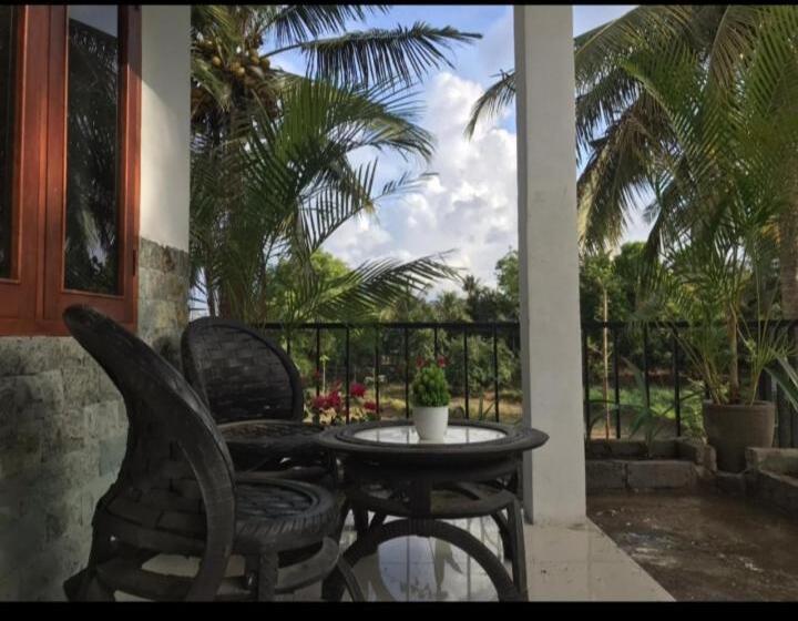 פנסיון Bale Bagus