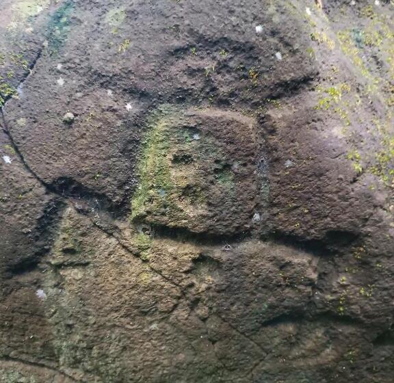 بنسيون Hostel La Gloria