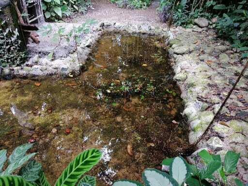 펜션 El Ceibo Backpakers