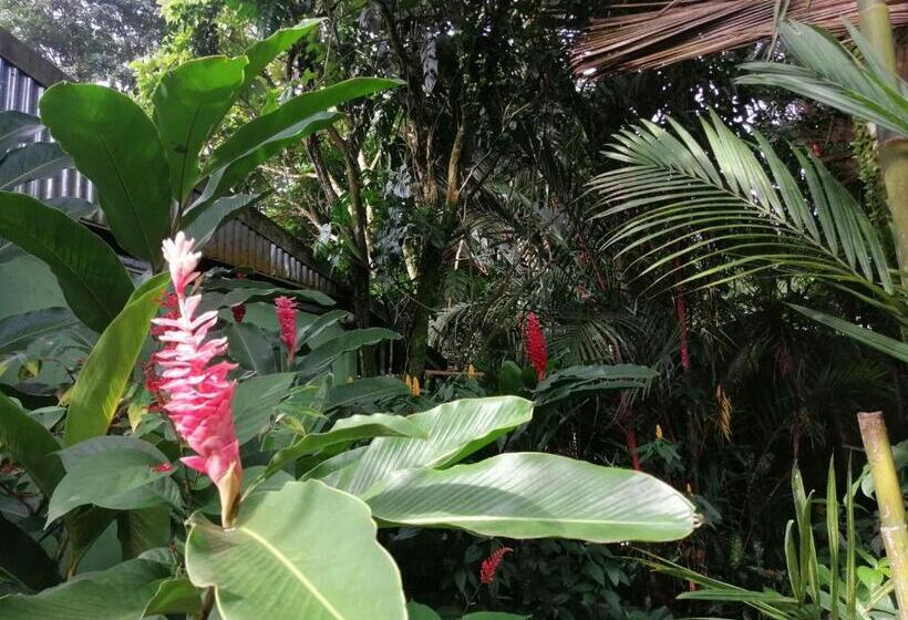 بنسيون El Ceibo Backpakers