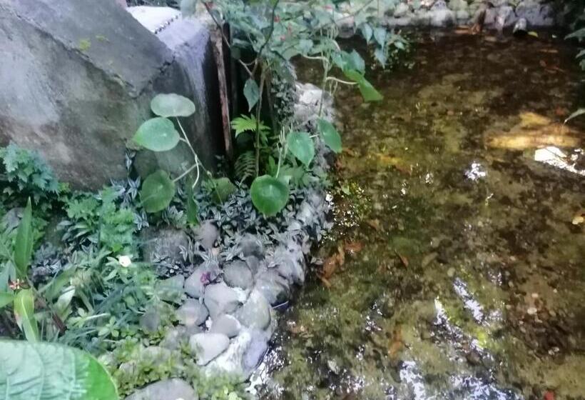 펜션 El Ceibo Backpakers