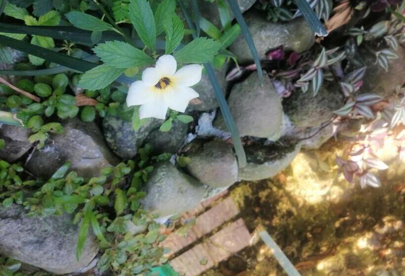 펜션 El Ceibo Backpakers