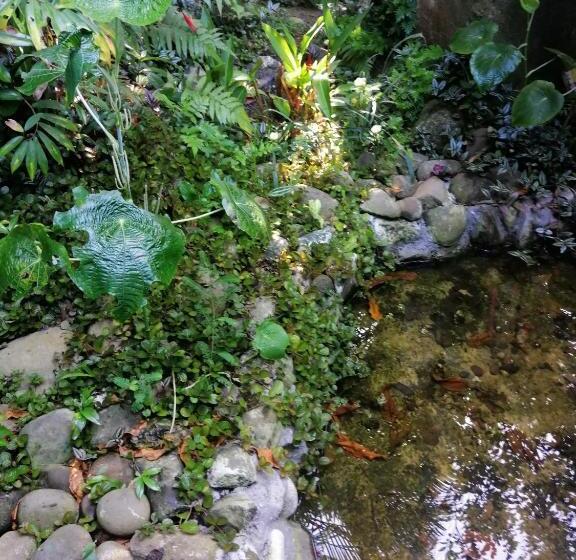 펜션 El Ceibo Backpakers