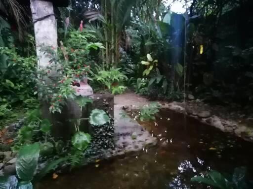 بنسيون El Ceibo Backpakers