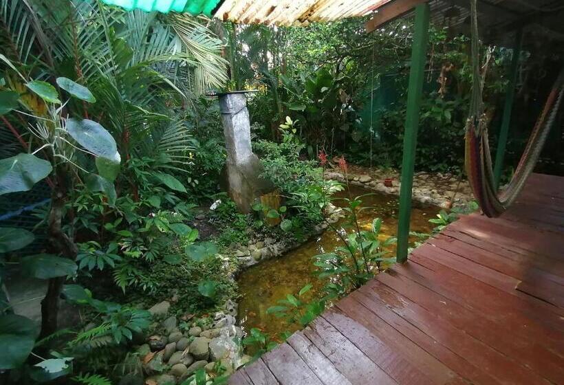 펜션 El Ceibo Backpakers