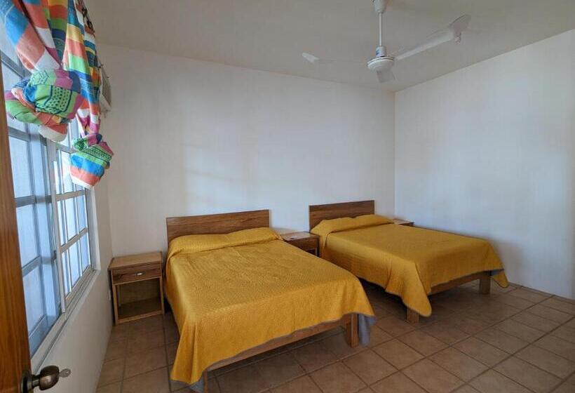 بنسيون Hostal El Pulpo   Internet Starlink