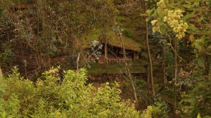 Пансион Hostal Juyanis