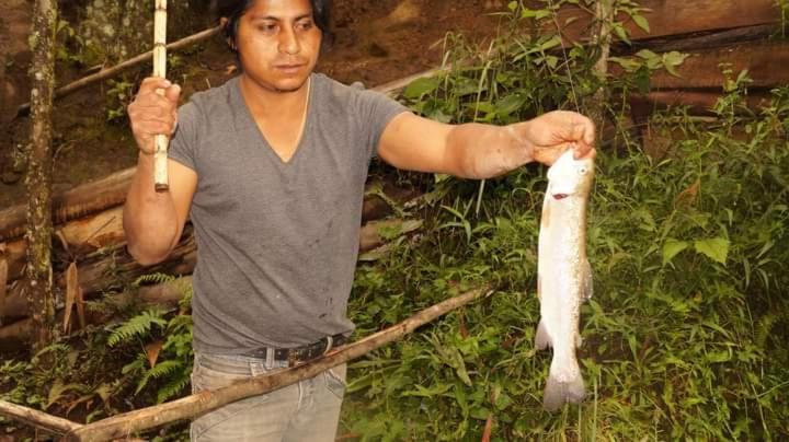 Пансион Hostal Juyanis