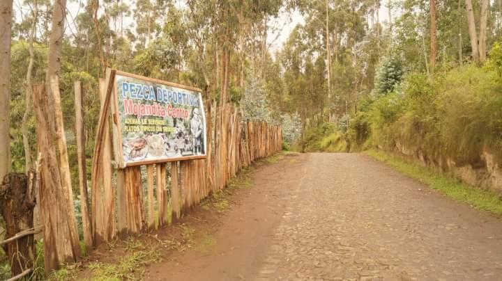 Пансион Hostal Juyanis