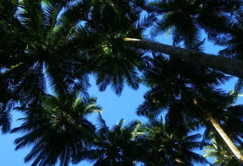 ペンション Kabunohi Sorake