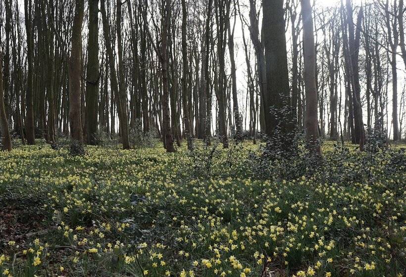 פנסיון Le Domaine Saint Ange