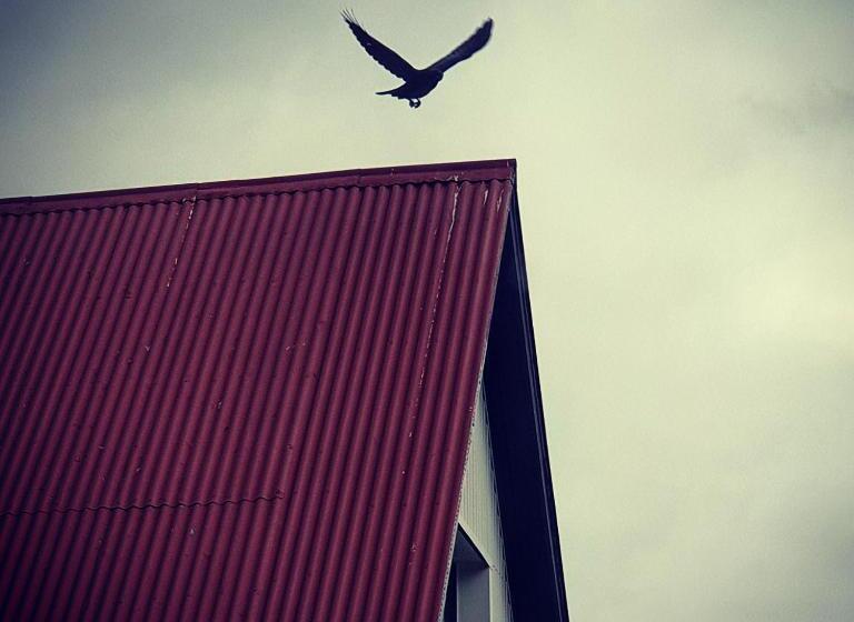 پانسیون Minna Mosfell Guesthouse