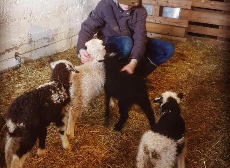 پانسیون Minna Mosfell Guesthouse