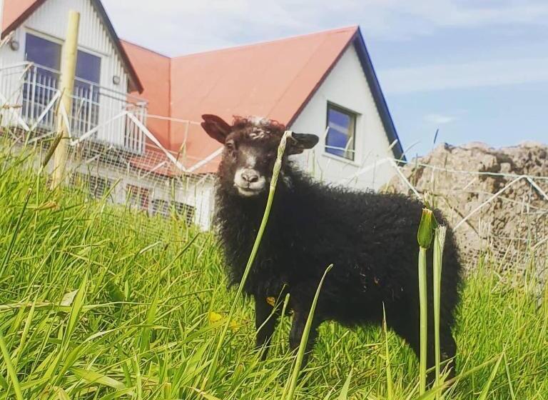 پانسیون Minna Mosfell Guesthouse