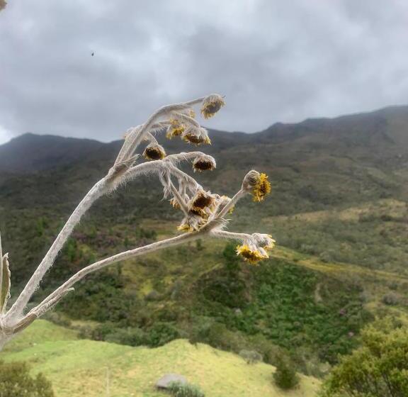 Пансион Renacer Casa Studio