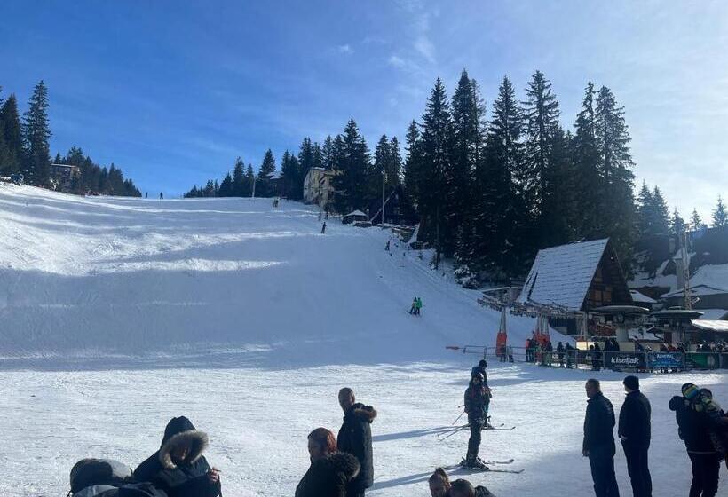 پانسیون Wp Villa