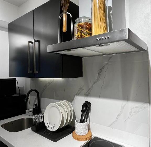 Prime Posh Downtown Condo