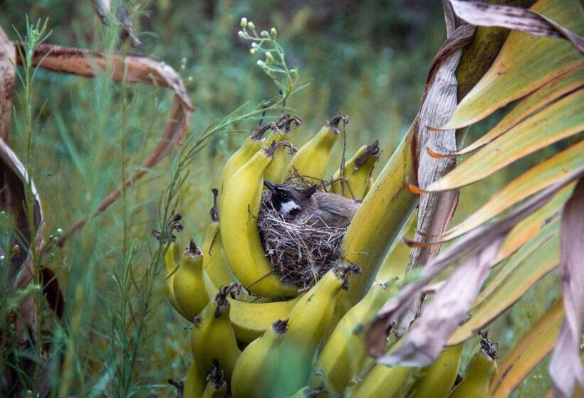 리조트 Campong Nature Retreat