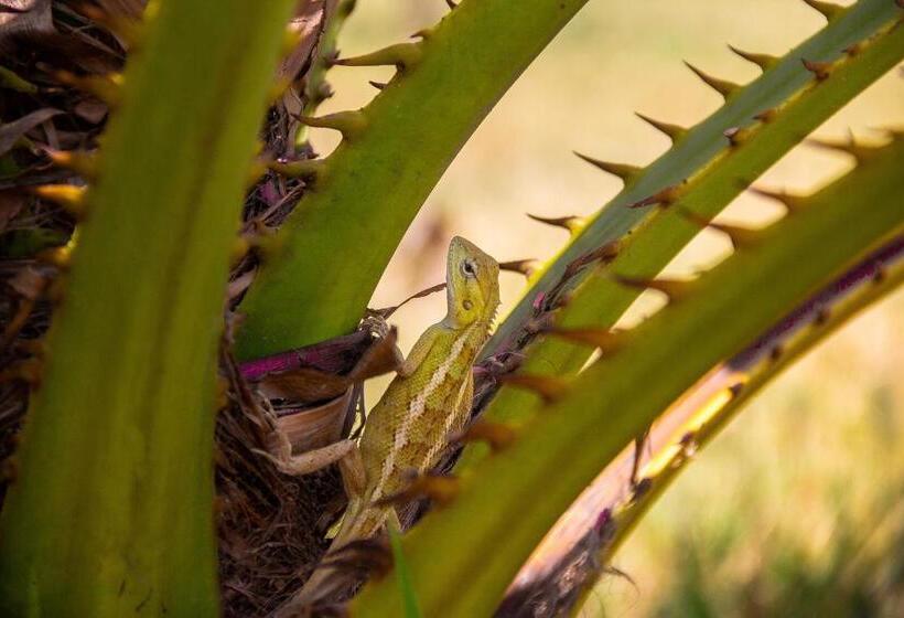 منتجع Campong Nature Retreat