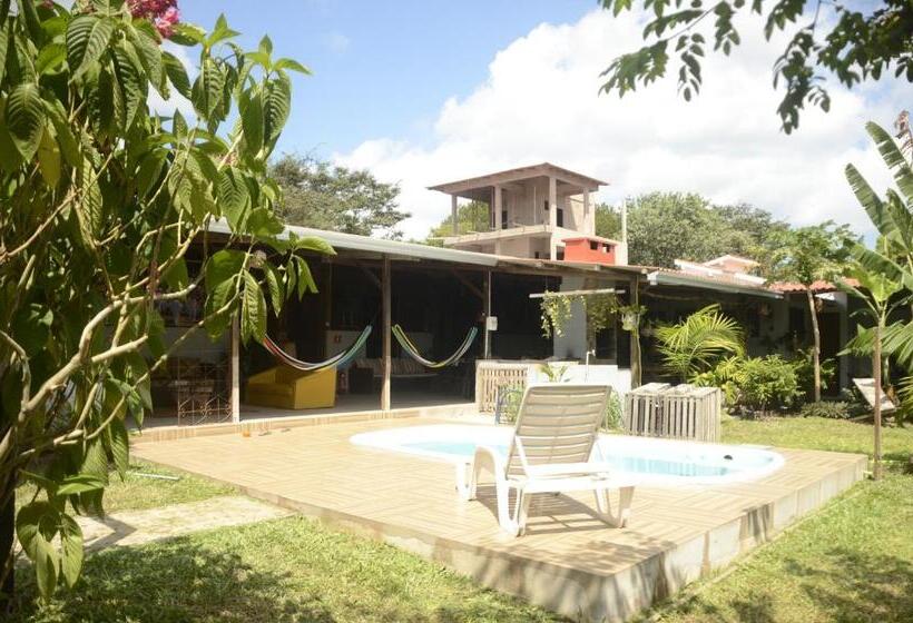 호스텔 Espaço Sairé   Alter Do Chão