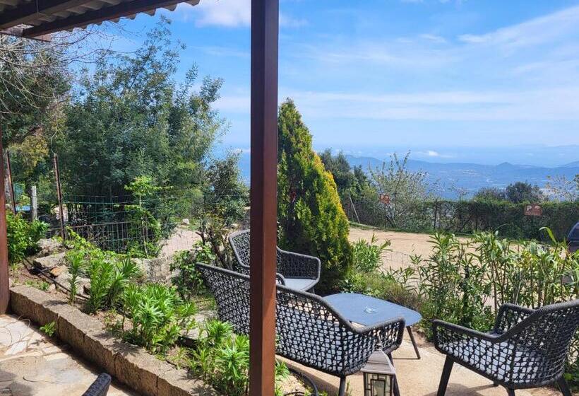 Bed and Breakfast A Tigliola