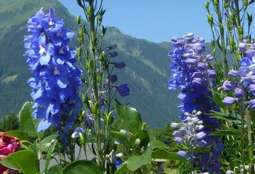 مبيت وإفطار Appartement Zint