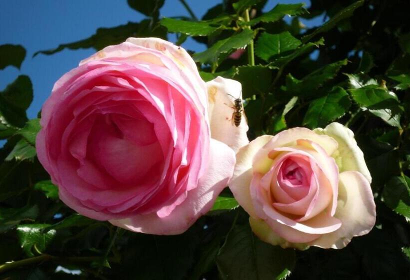 مبيت وإفطار Appartement Zint