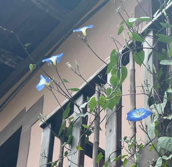 Bed & Breakfast Campus Residencias