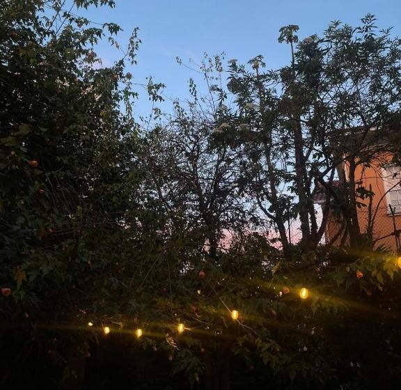 Bed & Breakfast Campus Residencias