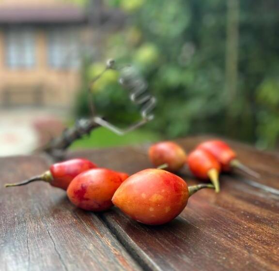 Bed & Breakfast Campus Residencias