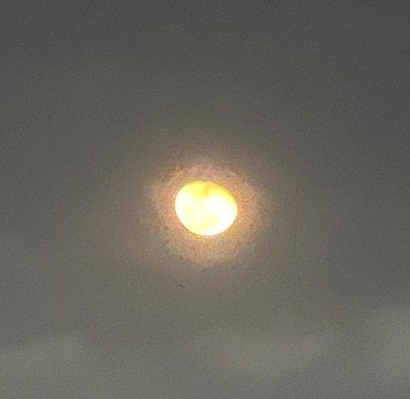 Bed & Breakfast Campus Residencias