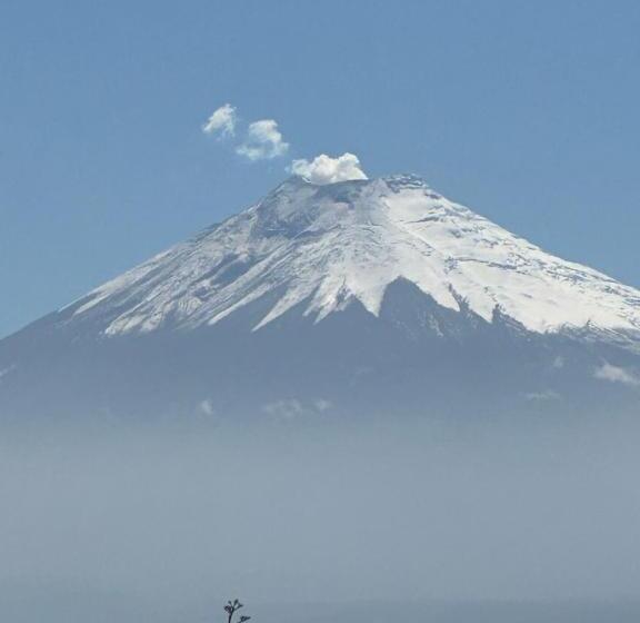 Bed & Breakfast Campus Residencias