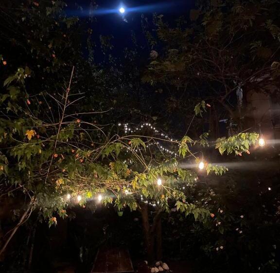 تختخواب و صبحانه Campus Residencias