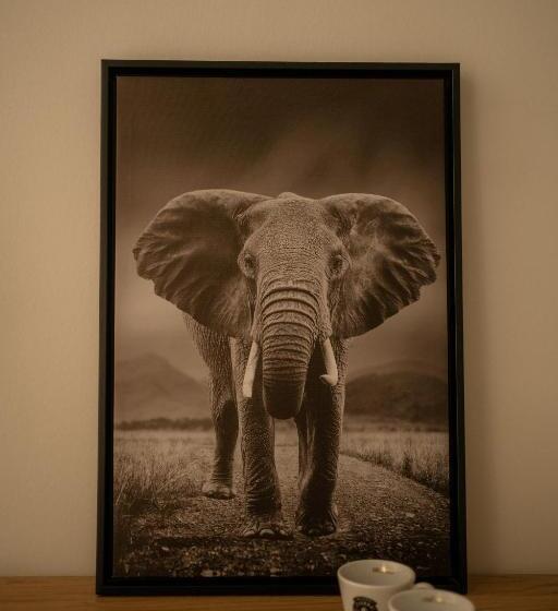 住宿加早餐  Huize Schaberg