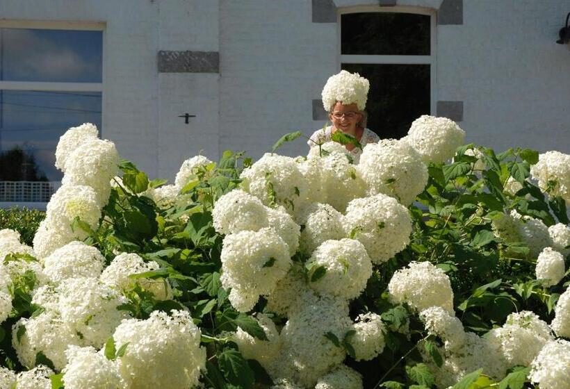 צימר ô Lit De L Ourthe