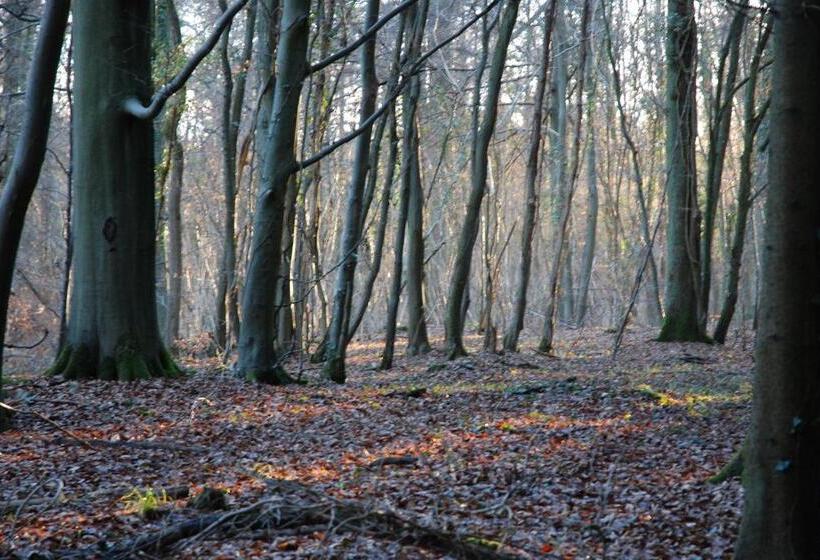 צימר ô Lit De L Ourthe